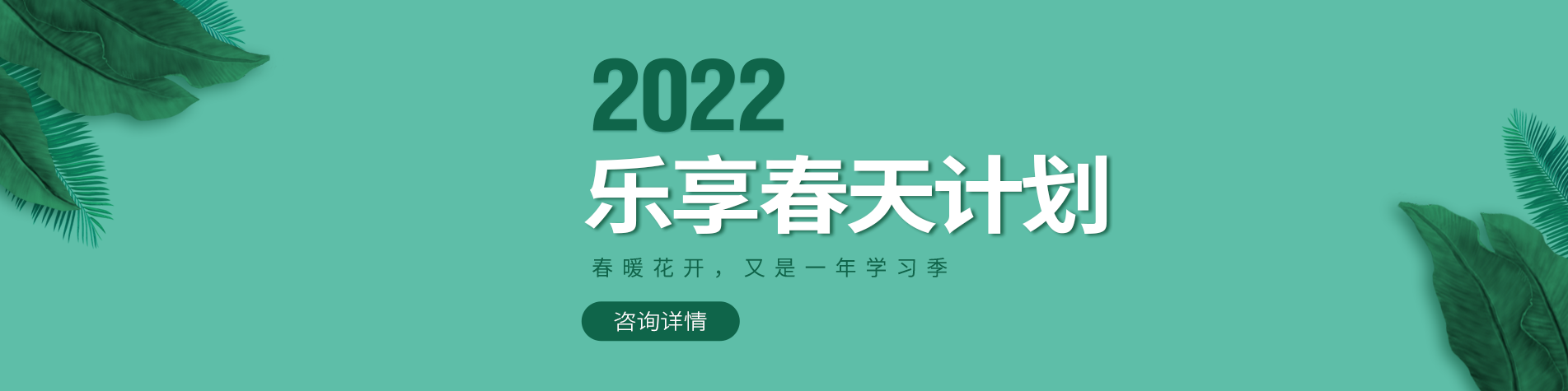 黑鸡巴肏白屄视频